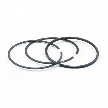 ������ ��������� Briggs & Stratton 795690