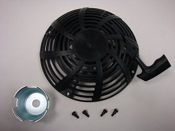 ������� � ����� Briggs&Stratton (695058)