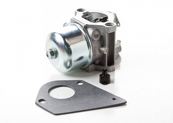  ���������� Briggs & Stratton (698171)