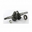 �������� Briggs&Stratton (797019)